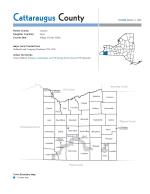Product Description: The New York Genealogical and Biographical Society has produced county research guides for genealogists and family historians.</br></br>What's in each county guide?</br></br>County map:Shows current town 1and city boundaries, and the location of Indian reservations</br>Gazetteer:Each county guide inventories historical and contemporary names of every city, town, and village in a county, as well as any changing geographical borders.</br>Repositories and Resources:Locate the records you need -an annotated list of government offices, repositories, societies, and organizations holding records and collections useful to genealogists.</br>Selected Print and Online Resources:Each guide offers selected print and online resources about that county that will be particularly useful for the genealogist.</br> Cattaraugus County Guide